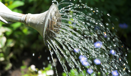 watering can