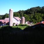 fiddle creek dairy farm