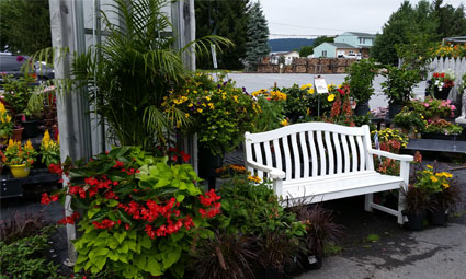 white porch chair with flowers