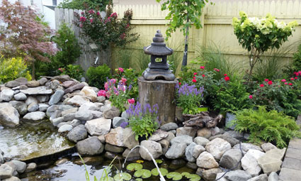 pond with rocks