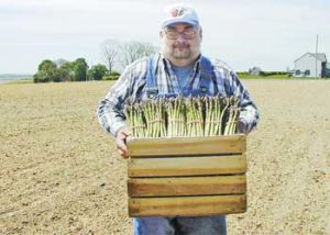 Asparagus Farm