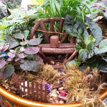 Fairy Garden