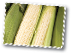 Corn