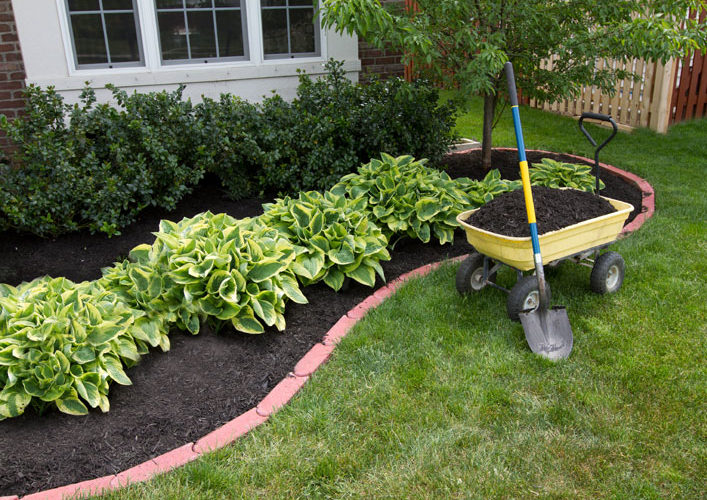 Wheelbarrow full of mulch with a shovel next to a freshly mulched garden bed in the spring.