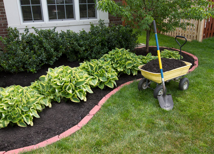 Wheelbarrow full of mulch with a shovel next to a freshly mulched garden bed in the spring.