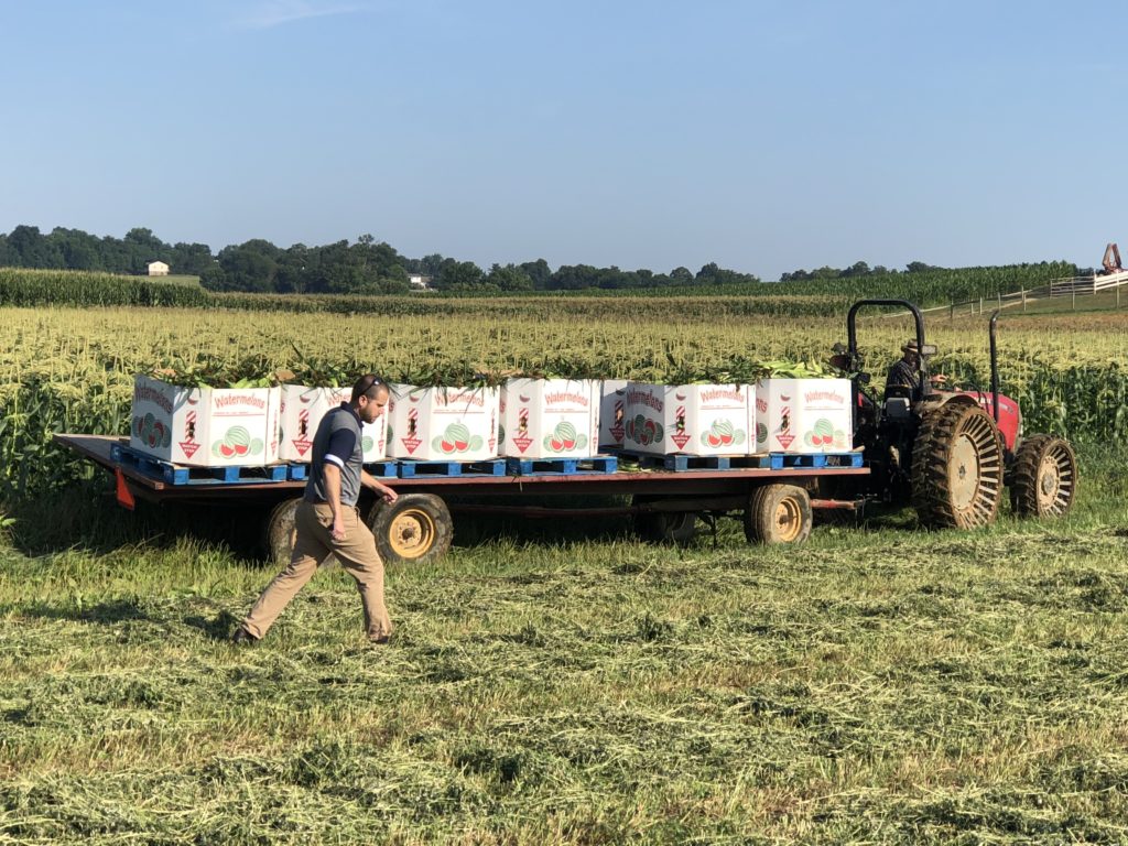 local pa watermelon stand