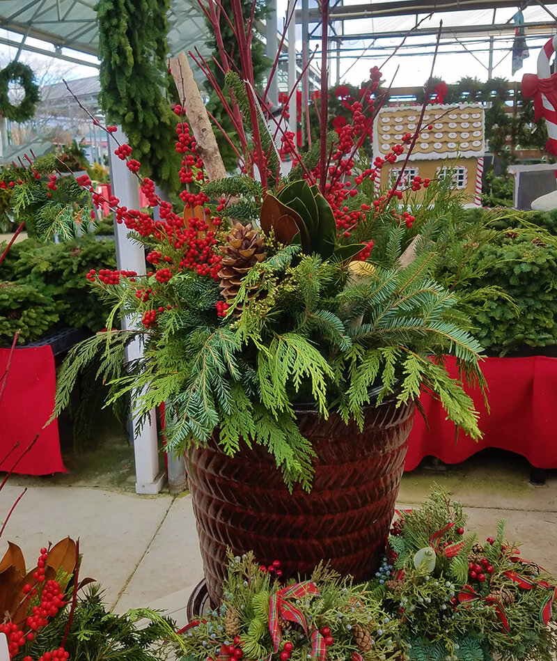 Fresh Greens Planter