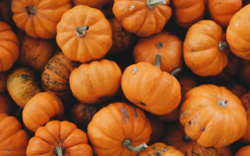 pile of pumpkins