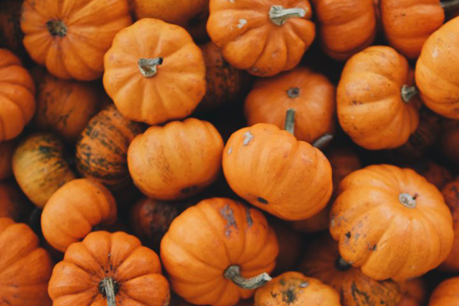 pile of pumpkins