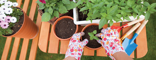 hands in gloves potting a plant