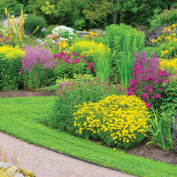 landscape with flowers