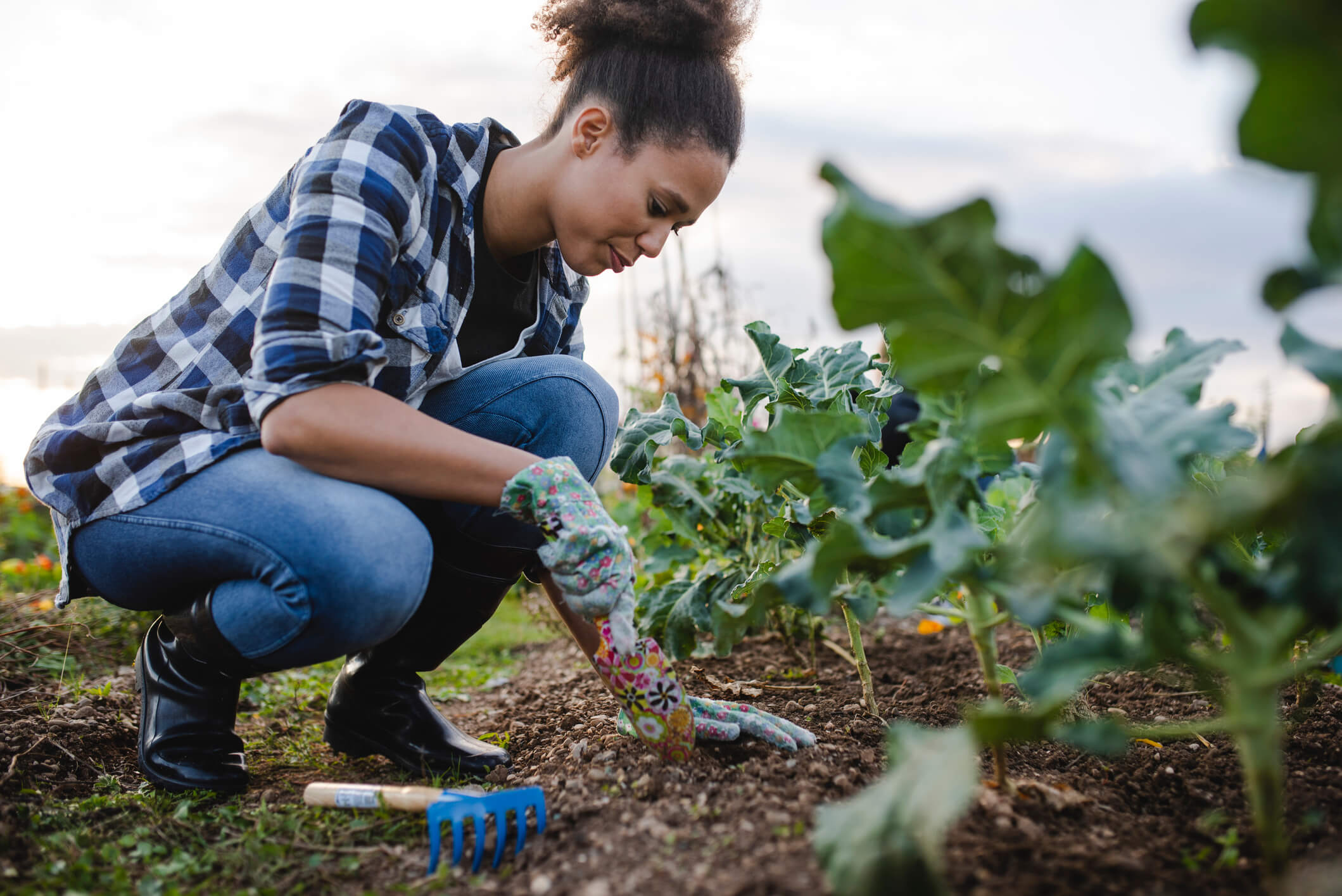 A woman weeds her organic garden.