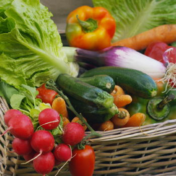 Basket of vegetables