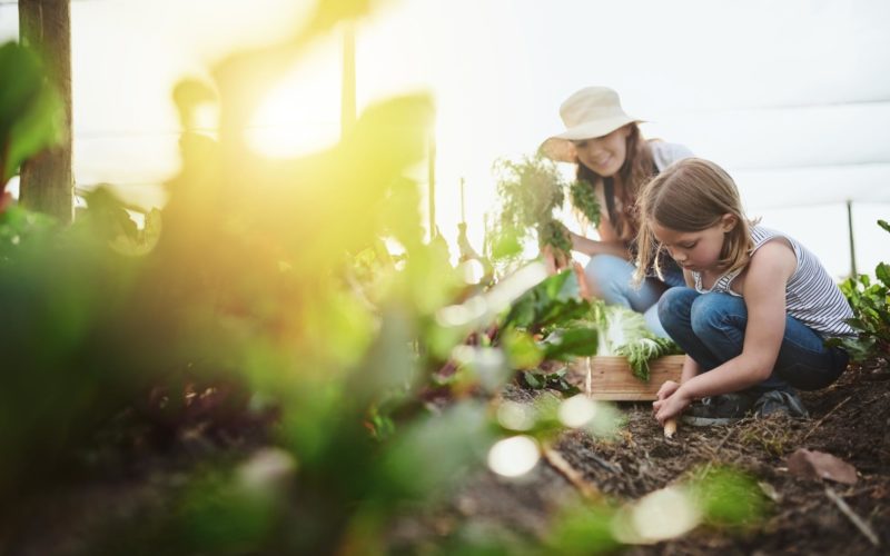 A mother gardens with her kids.