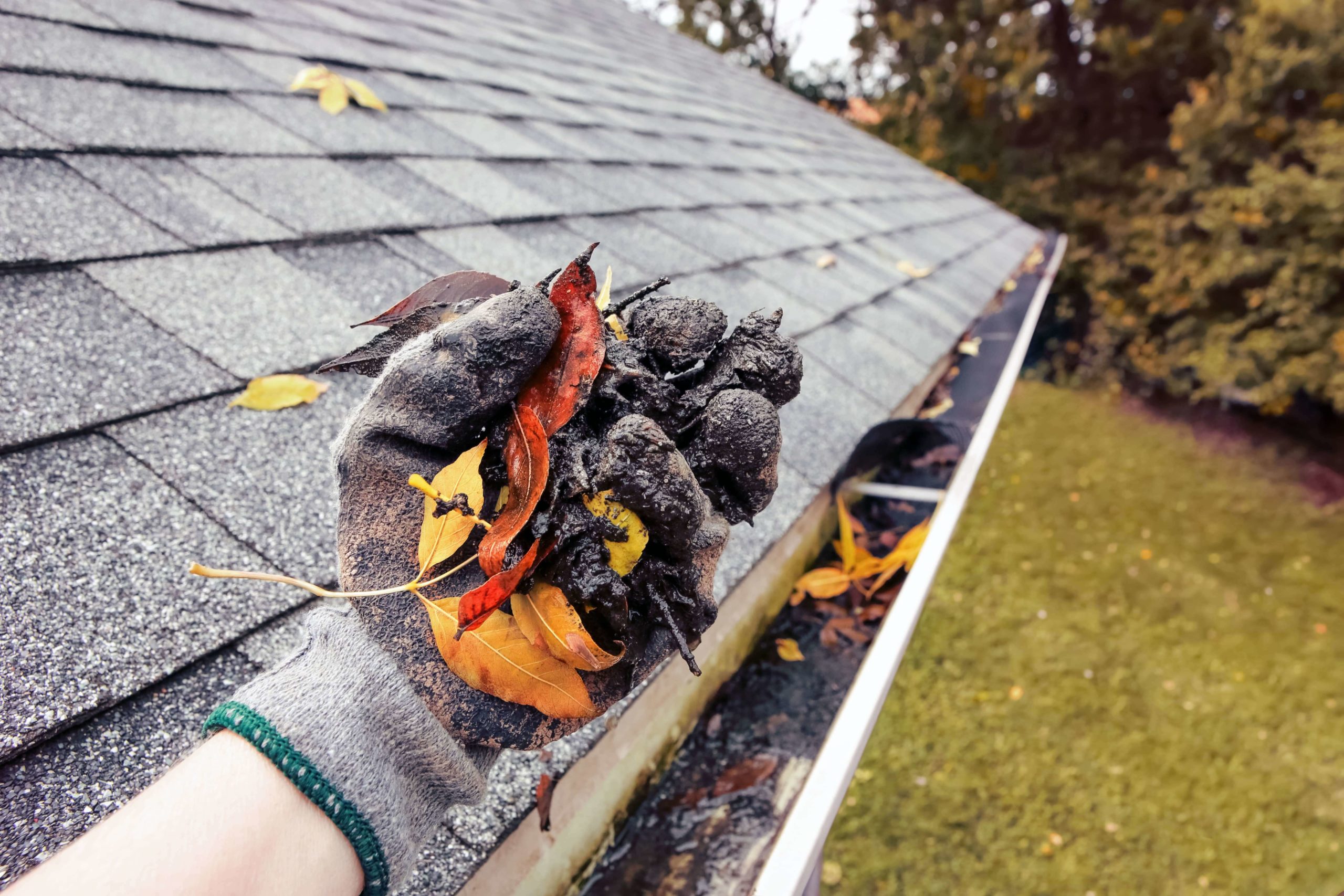 Cleaning leaves out of gutters