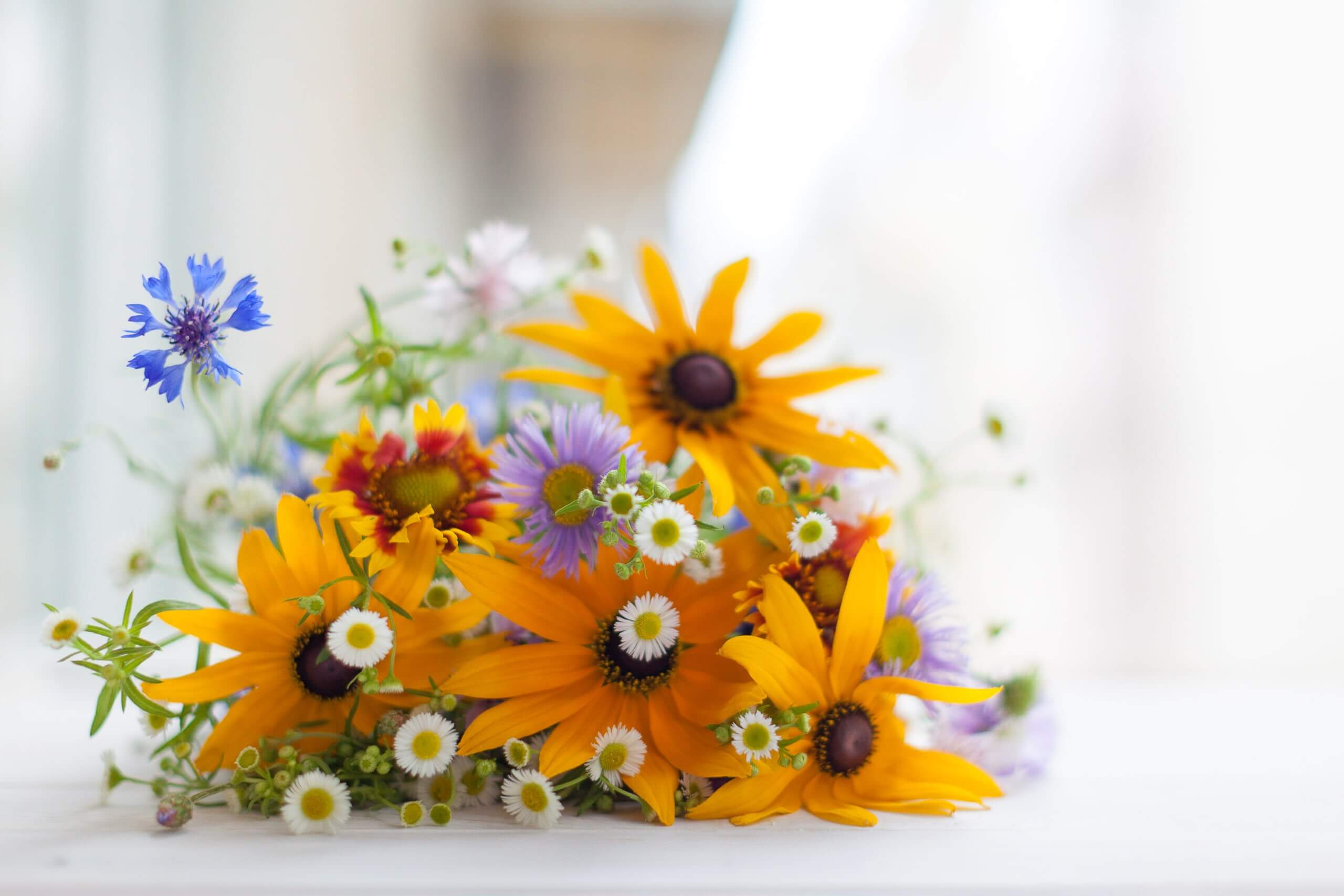 Sentimental bouquet of delicate flowers