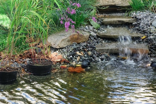 Backyard pond with waterfall