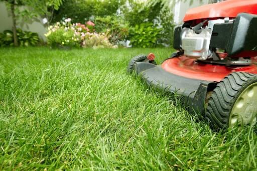 Mowing the lawn in the heat