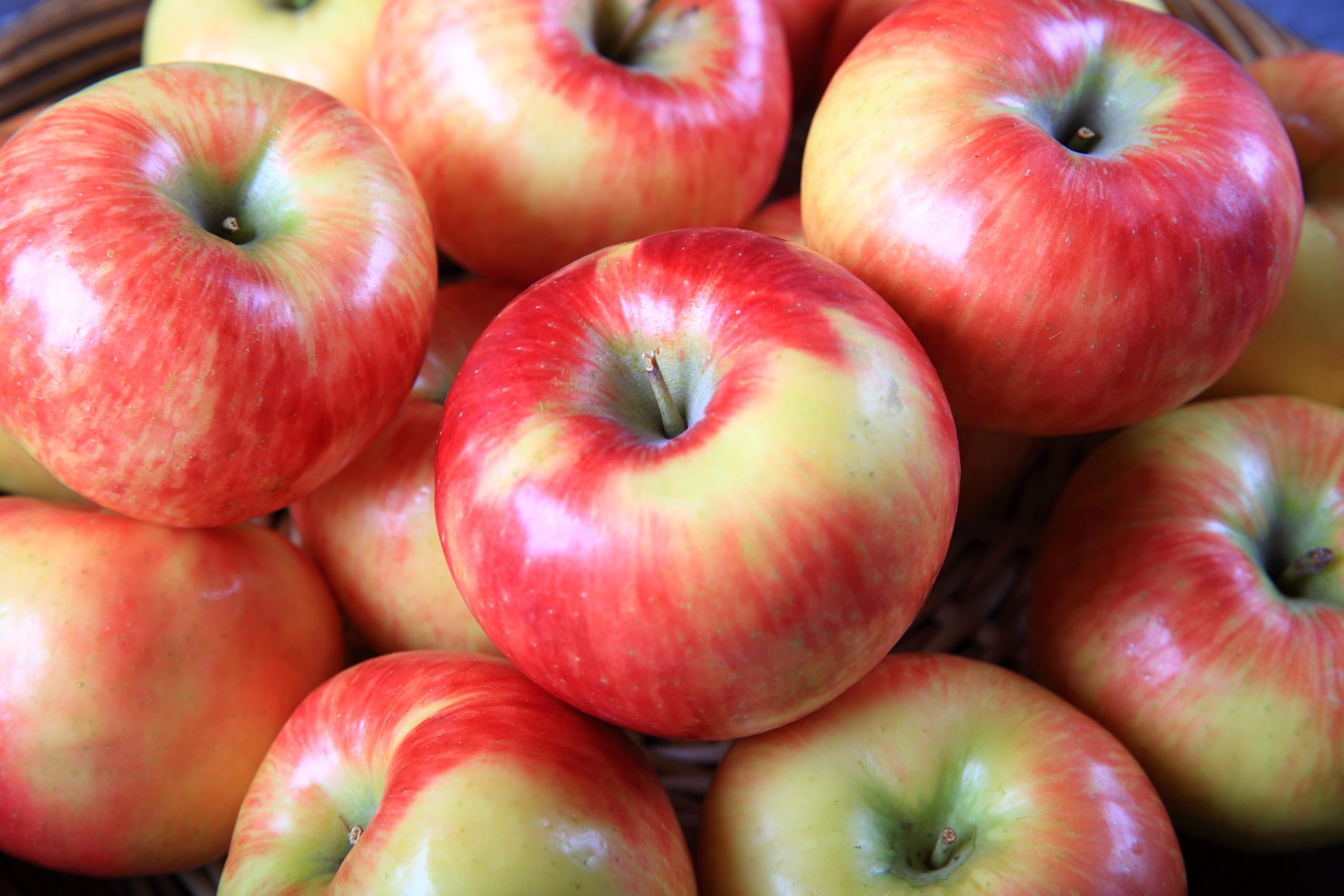 Honey Crisp apples