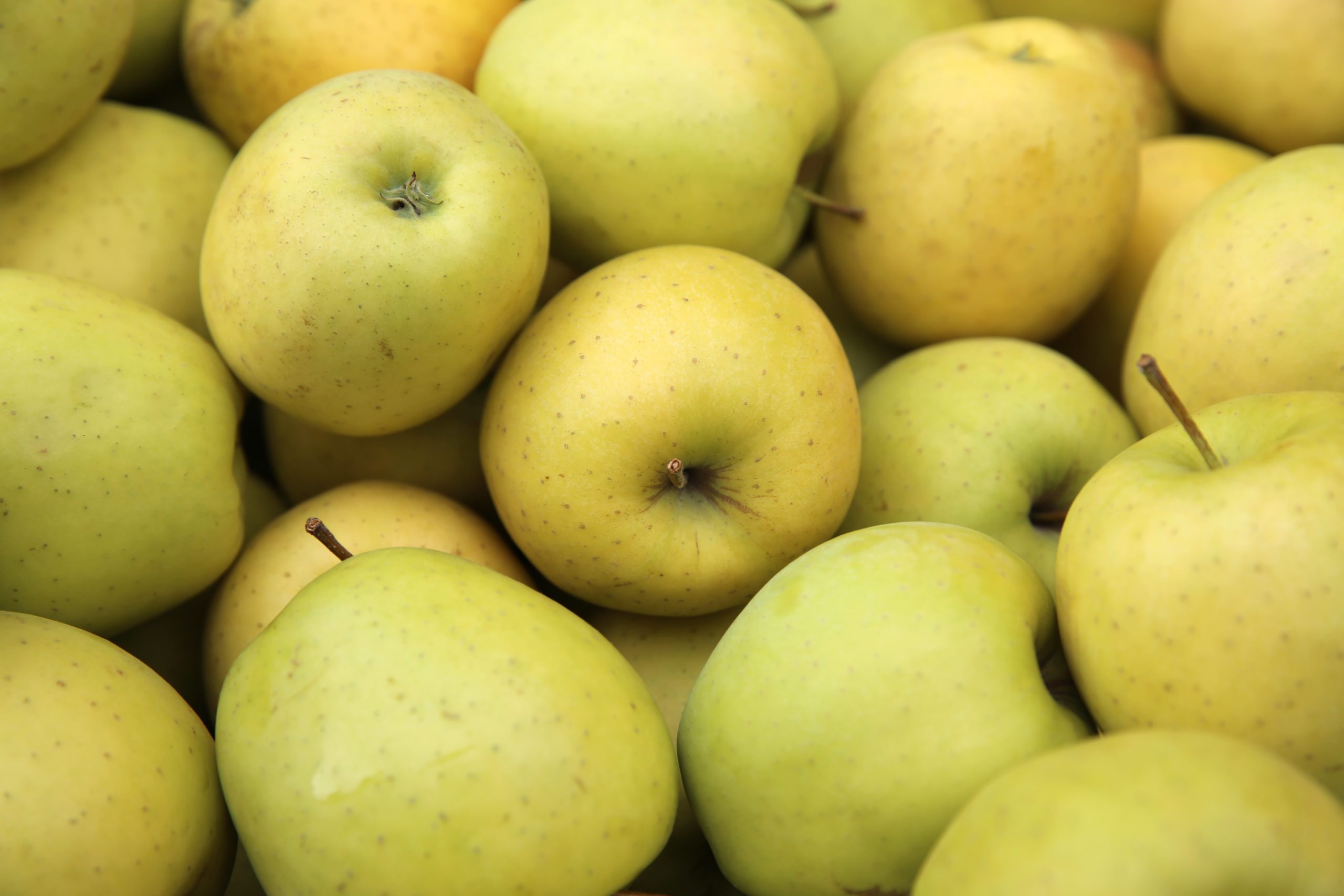 Golden Delicious apples