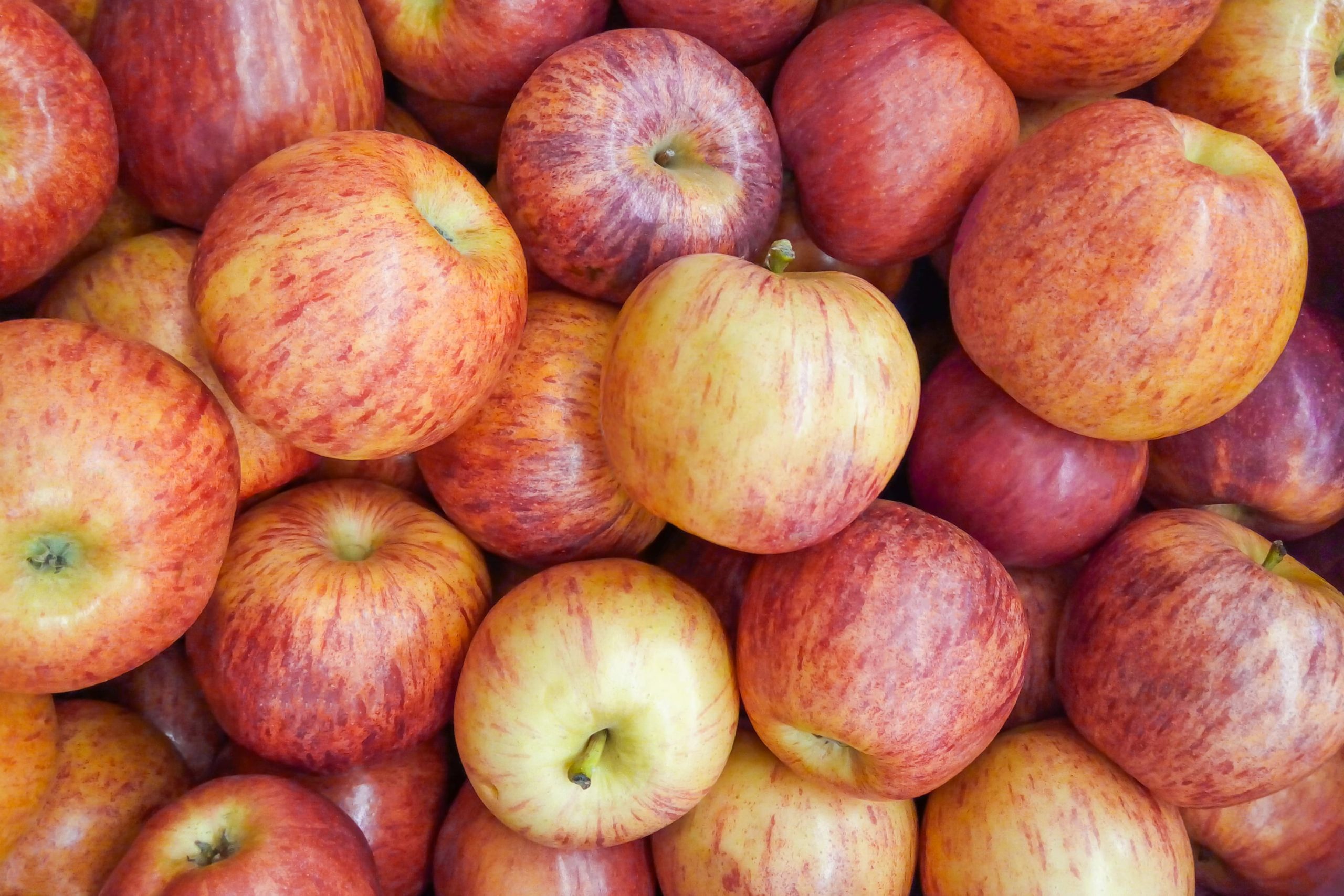 Gala apples