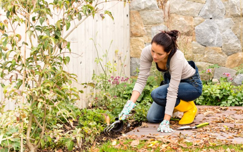 Woman gardening in early fall