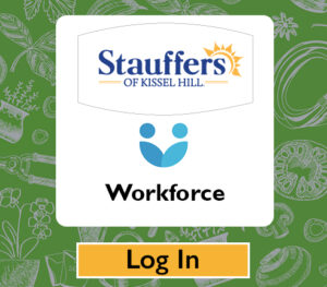 Team Member Login for Workforce