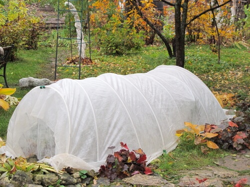 a frost cloth covers plants in the fall