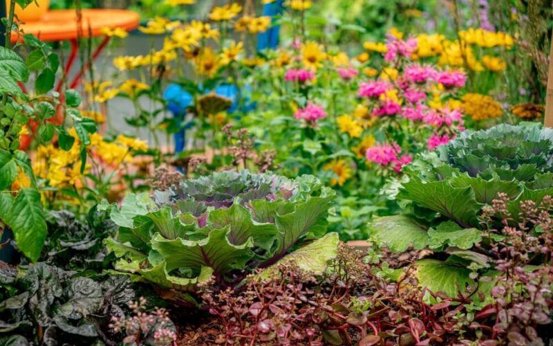 a colorful garden for our permaculture gardening guide